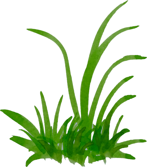 Watercolor Grass PNG