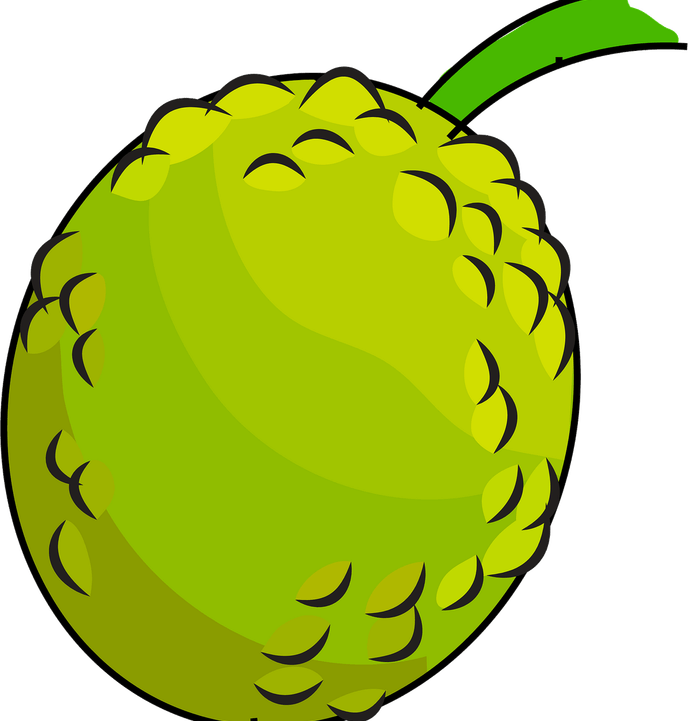 Breadfruit PNG