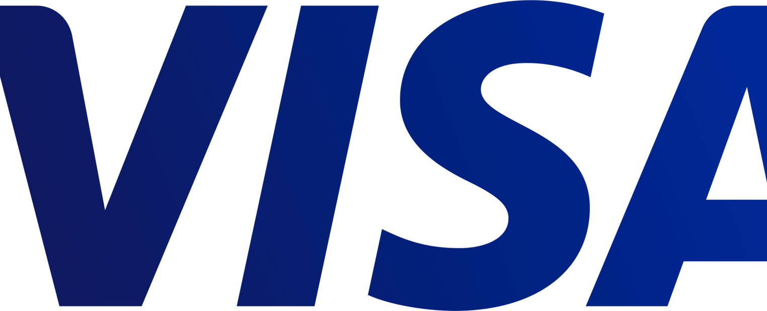 Visa Logo PNG