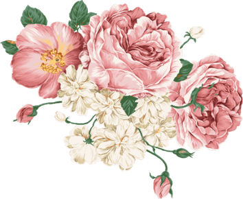 Flower Aesthetic Theme PNG