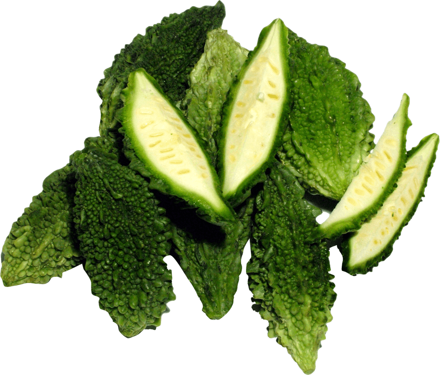 Bitter Gourd PNG
