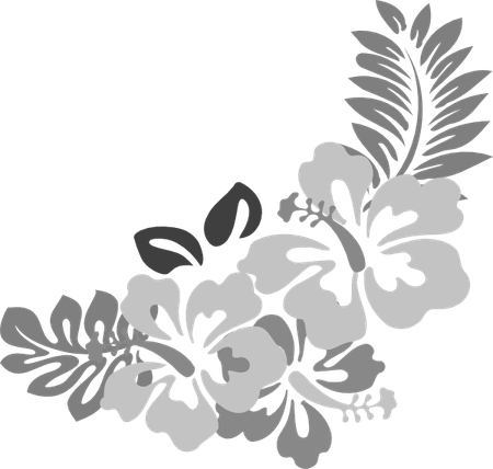 Tropical Flowers Border PNG