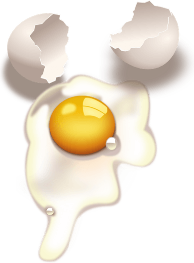 Fried Egg PNG