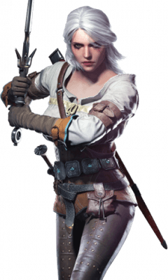 The Witcher 3 Wild Hunt PNG