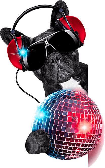 Nightclub PNG