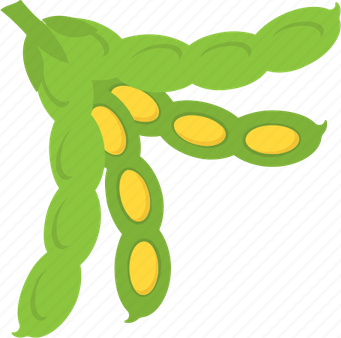 Lima Beans PNG