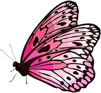 Light Glowing Butterfly PNG