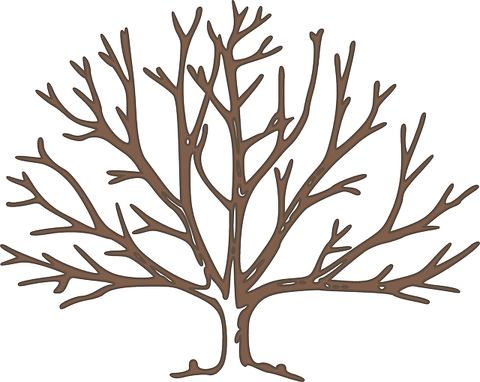 Winter Tree PNG