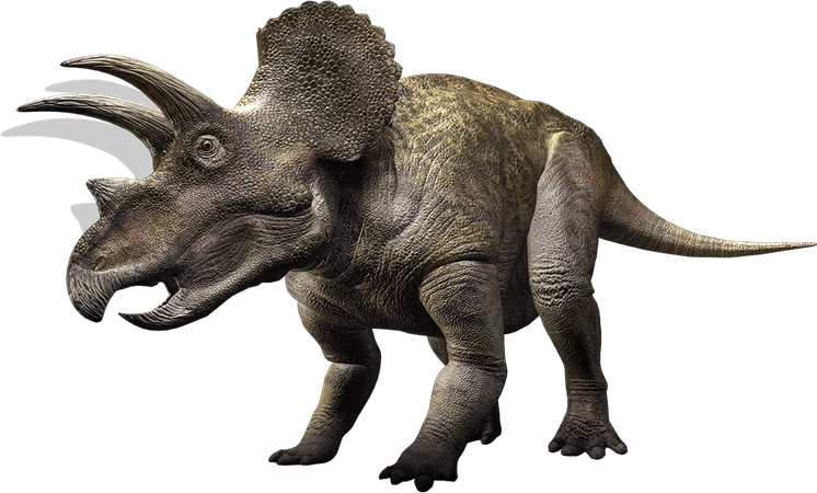 Dino PNG