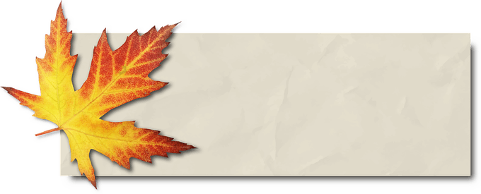Leaves Banner PNG