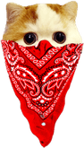 Gangster Cat PNG