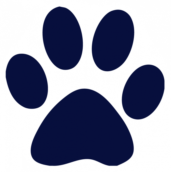 Paw PNG