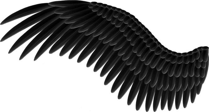 Black Angel Wings PNG