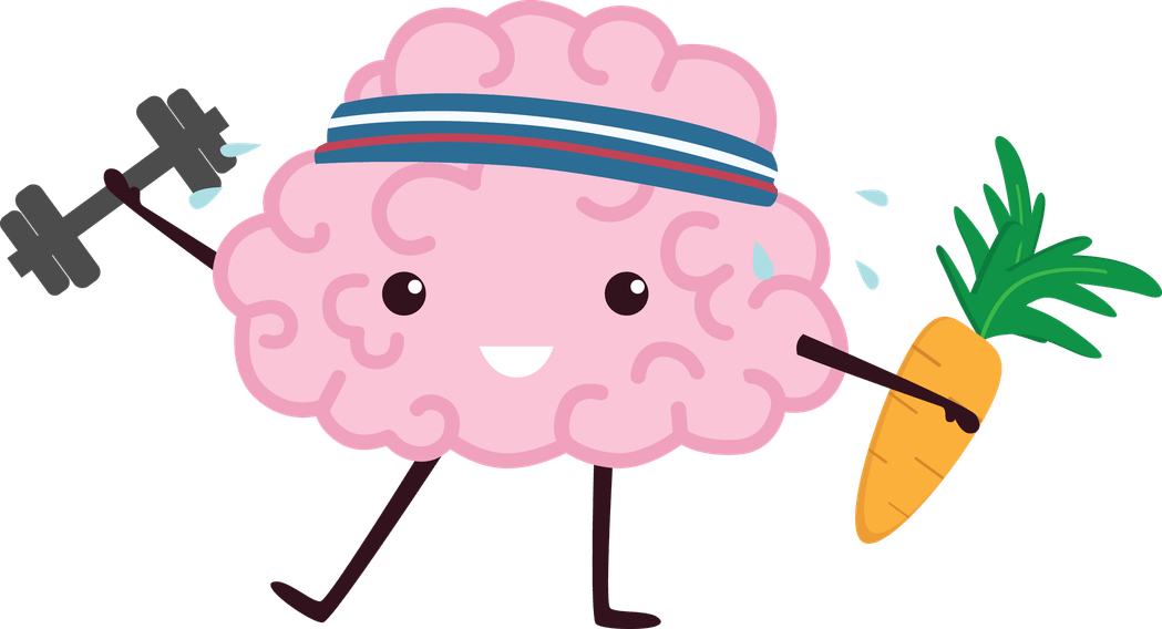 Healthy Brain PNG