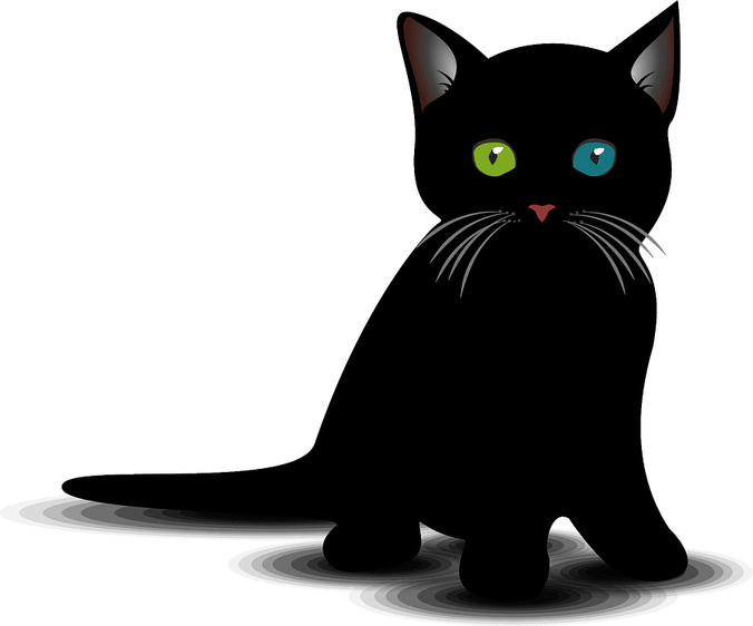Black Cat Kitten PNG