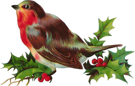Christmas Bird PNG