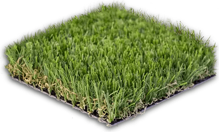 Meadow Grass PNG