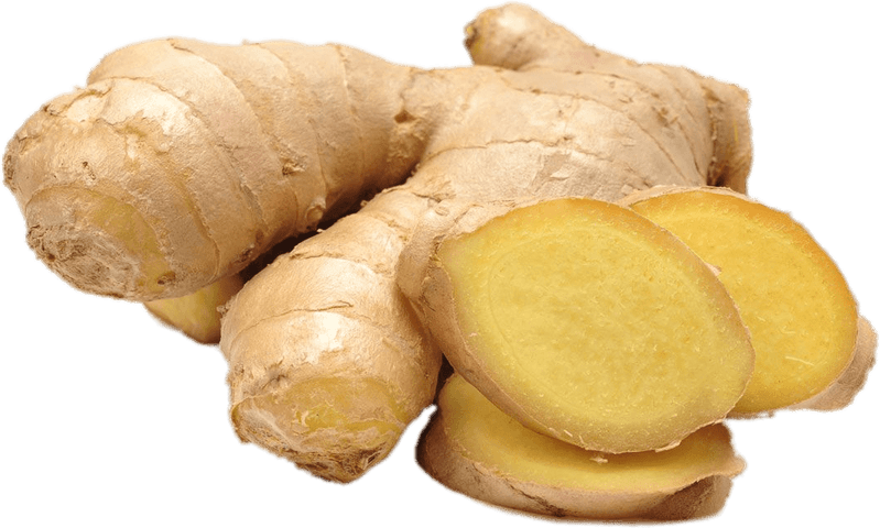 Galangal PNG
