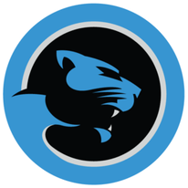 Carolina Panthers Logo PNG