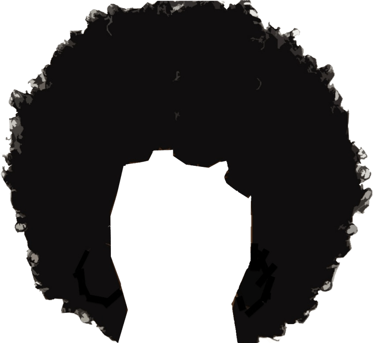 Afro Hair PNG