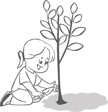 Plant Tree PNG