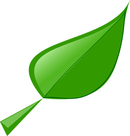Cartoon Leaves PNG