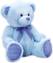 Cute Bear PNG
