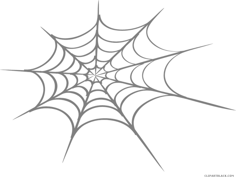 Spider Web PNG