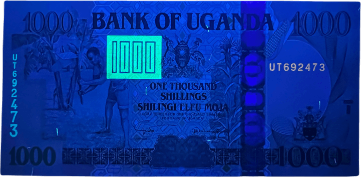 Ugandan Money PNG