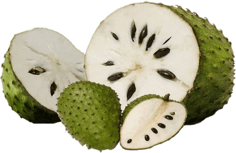 Soursop PNG