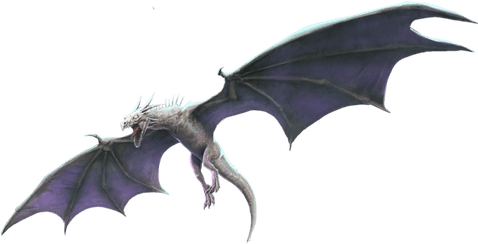 Harry Potter Dragons Dragon PNG