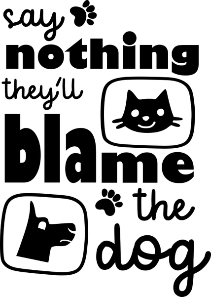 Funny Cat PNG
