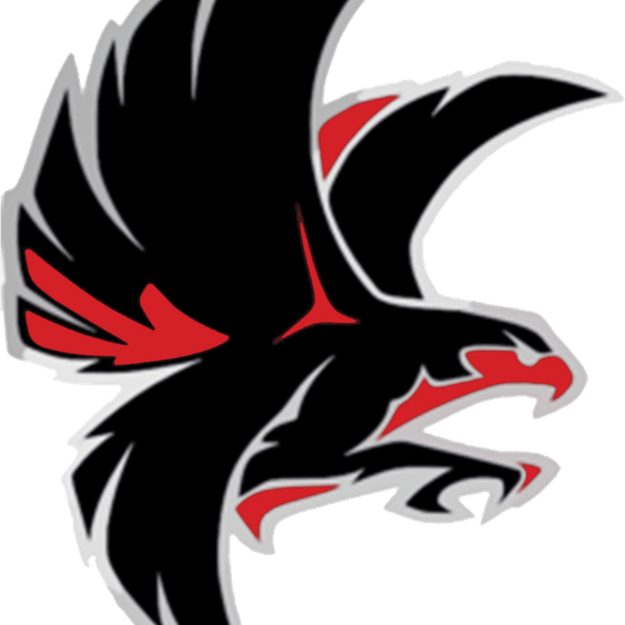 Atlanta Falcons PNG