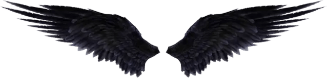 Devil Wings PNG