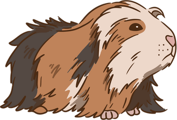 Guinea Pig PNG