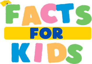 Interesting Facts About PNG