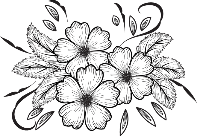 Flowers For Drawing PNG