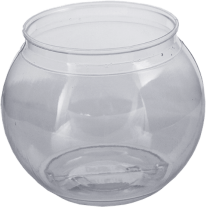 Fish Bowl PNG