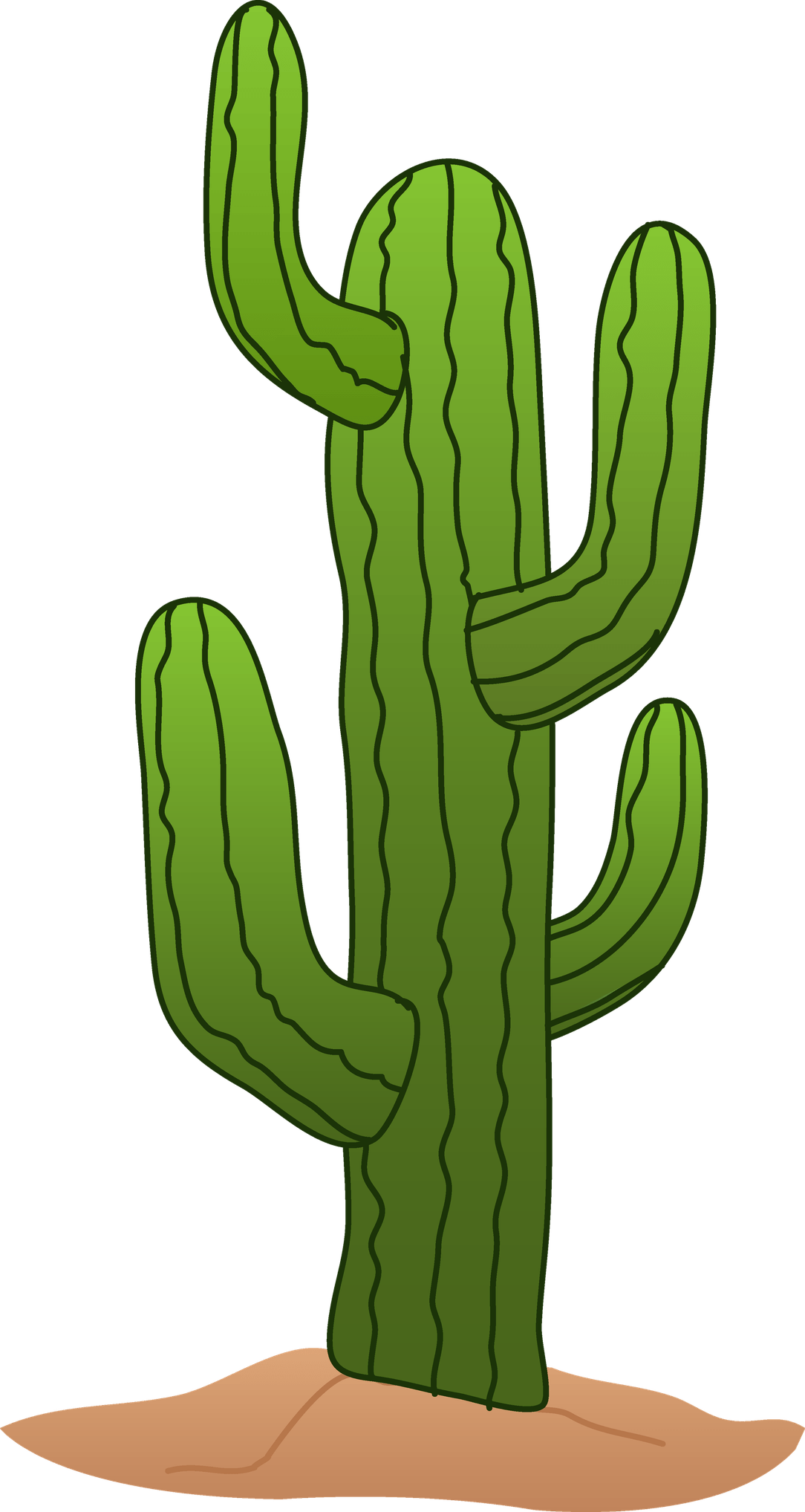 Cartoon Cactus PNG