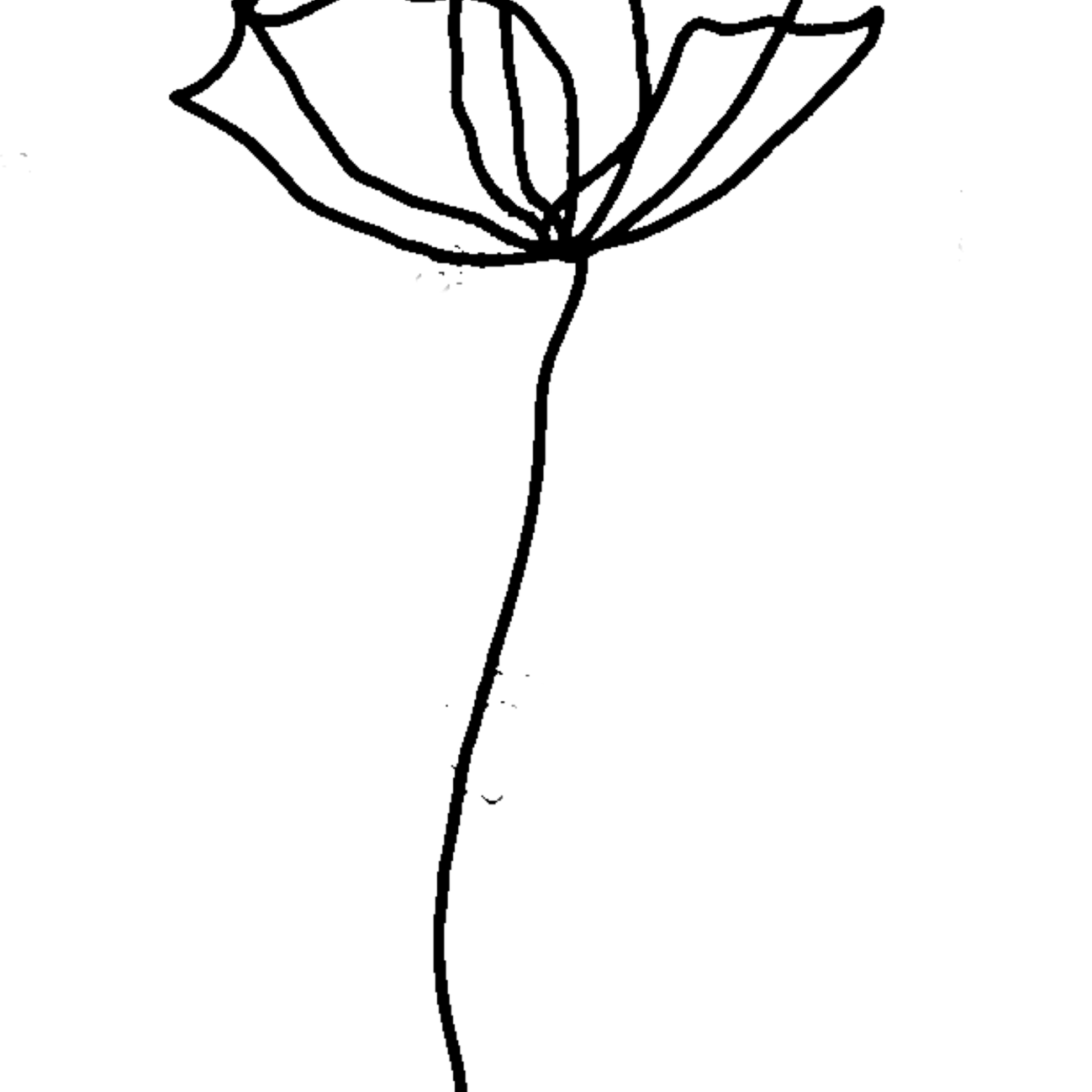 Aesthetic Theme Minimal PNG