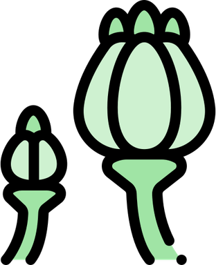 Opium Logo PNG