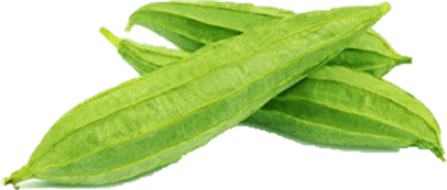 Snake Gourd PNG