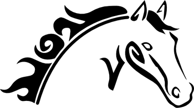 Horse Skull PNG