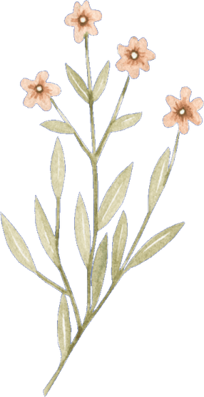 Dainty Flower PNG
