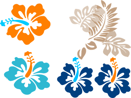 Tropical Flower PNG