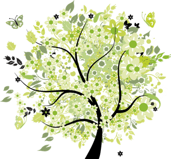 Spring Tree PNG