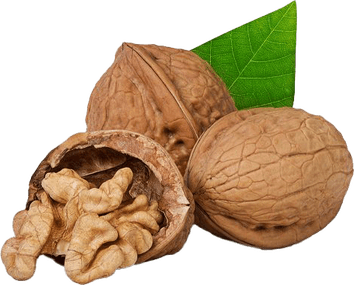 Walnut Oil PNG