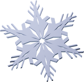 Real Snowflake PNG