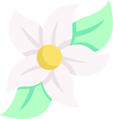 Jasmine Flower PNG