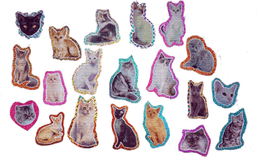 Y2k Cat PNG